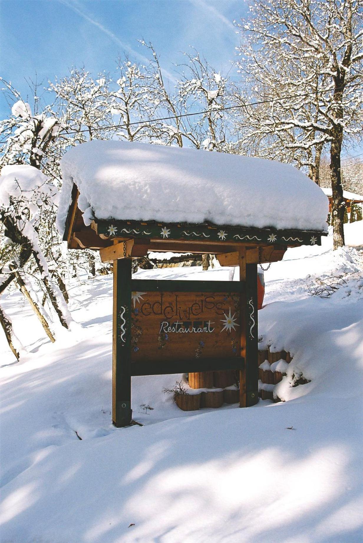 Edelweiss Hotel Samoens Bagian luar foto
